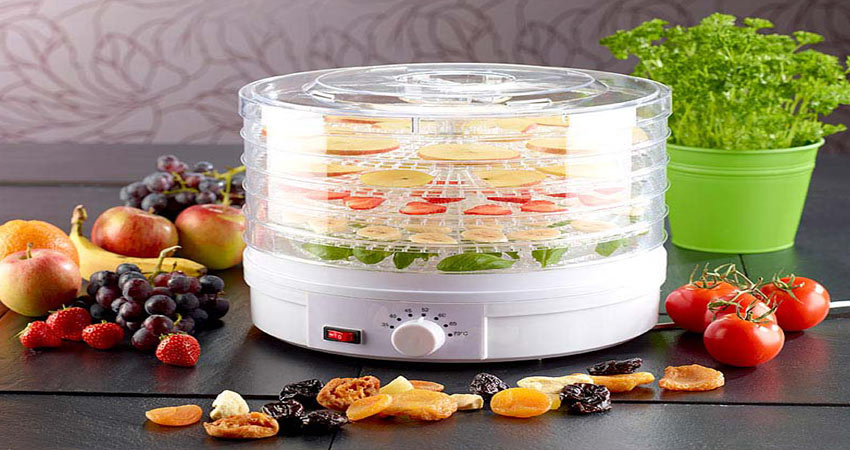 5kg fruit drying machine price2