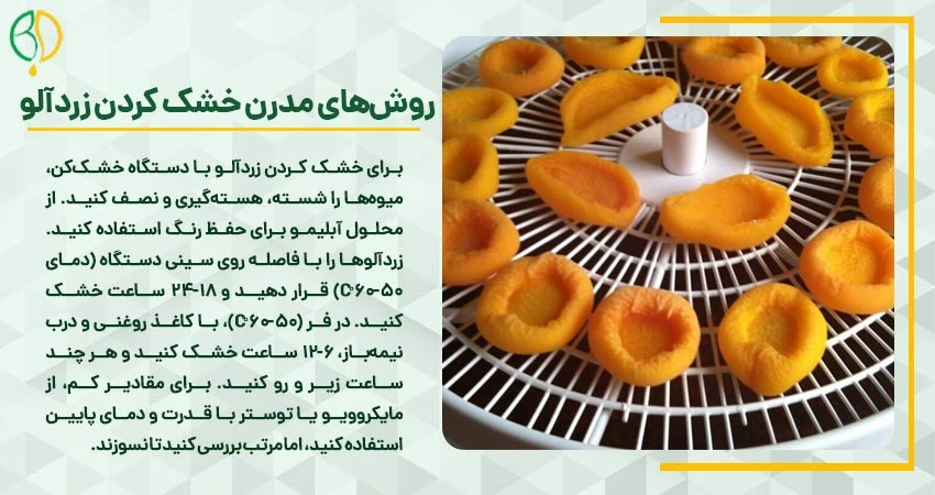 خشک کردن زردآلو با دستگاه