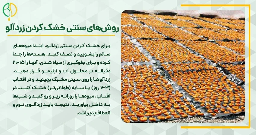 روش سنتی خشک کردن زردآلو