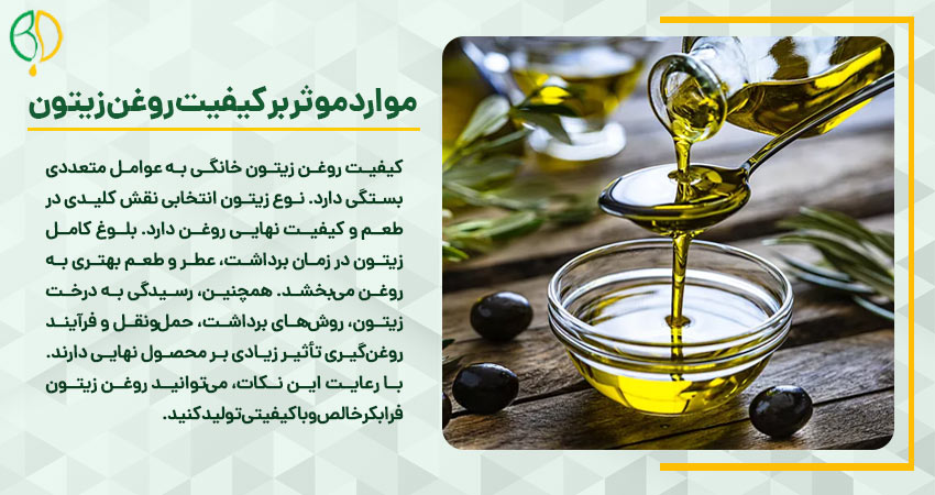 موارد تاثیر گذار بر روی کیفیت روغن زیتون خانگی