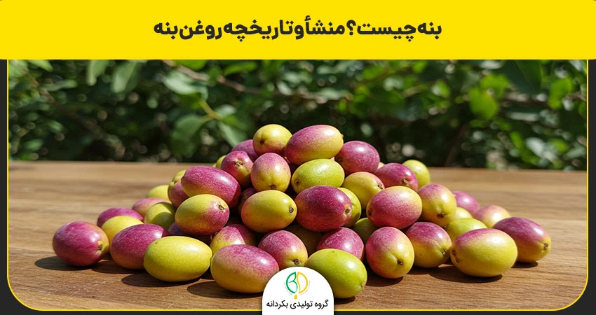 بنه چیست
