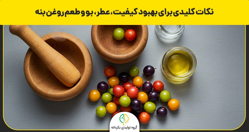 نکات کلیدی برای بهبود کیفیت، عطر، بو و طعم روغن بنه