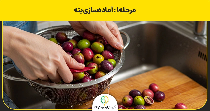 تهیه روغن بنه در خانه