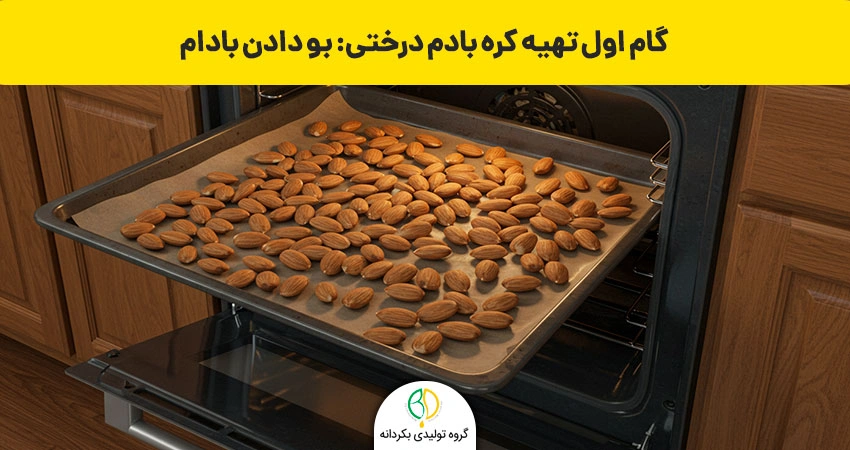 تهیه کرده بادام درختی