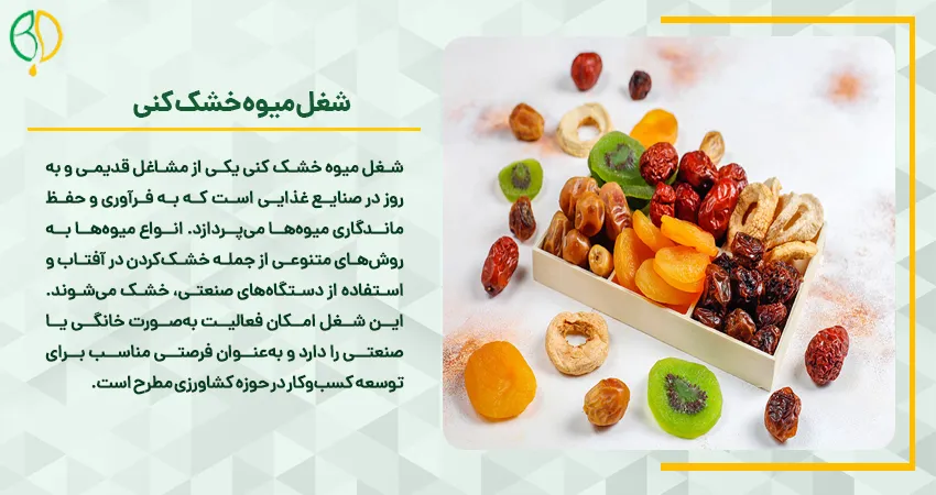 شغل میوه خشک کنی