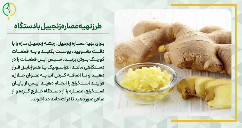 طرز تهیه عصاره زنجبیل با دستگاه