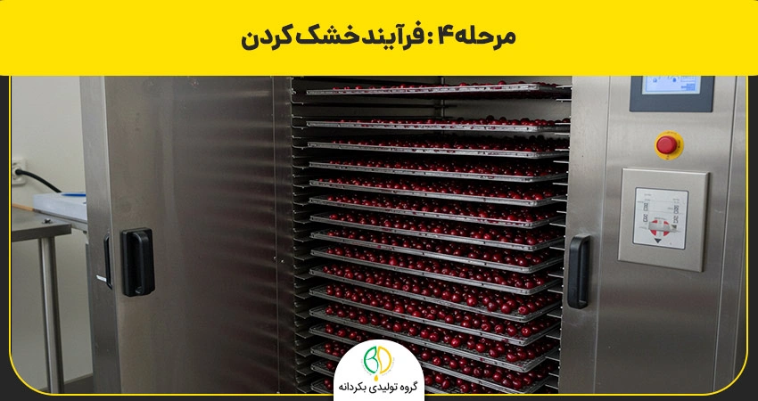 فرآیند خشک کردن آلبالو خشکه با دستگاه
