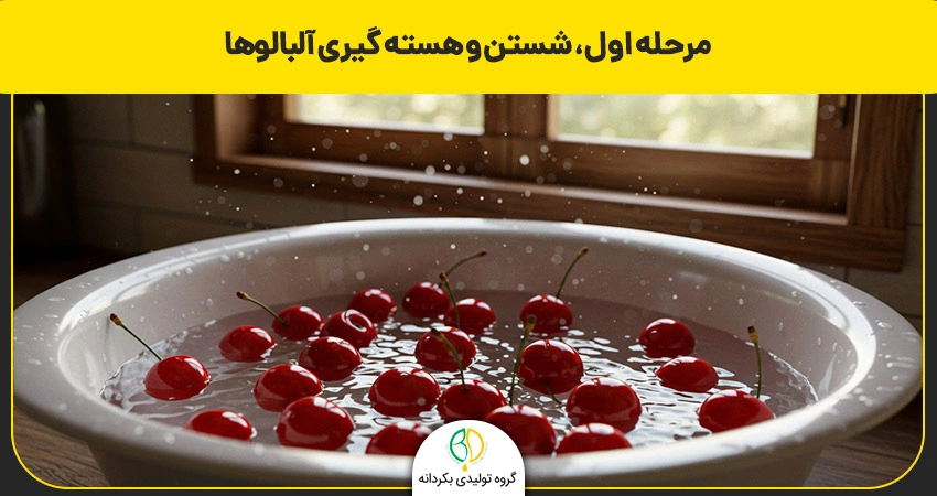 مراحل خشک کردن آلبالو با دستگاه