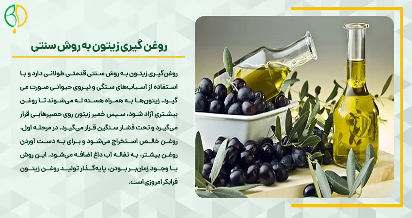 روغن گیری زیتون به روش سنتی