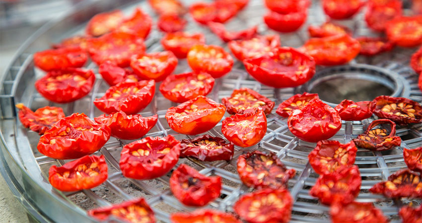 میوه خشک شده با دستگاه برقی و گازی