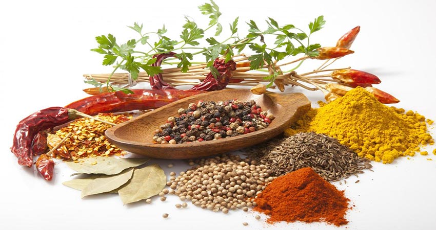 کار با دستگاه آسیاب ادویه چکشی نیازی به تجربه و تخصص ندارد