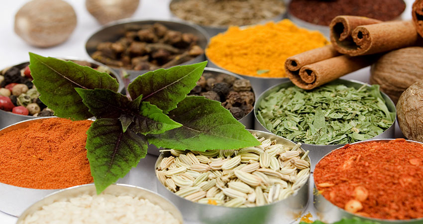 آموزش کار با دستگاه آسیاب ادویه چکشی