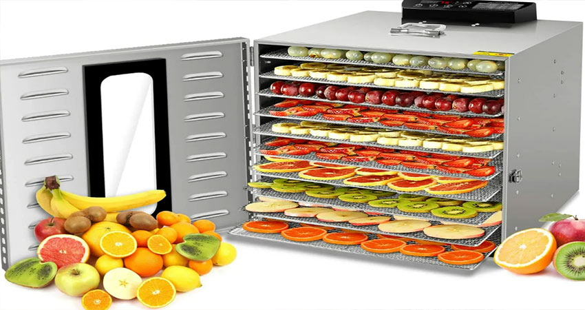 دستگاه میوه خشک‌ کن بزرگ چه ویژگی‌ ها و مشخصاتی دارد؟