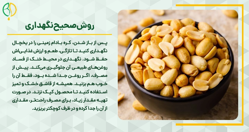 چرا کره بادام زمینی برای سلامتی مردان ضروری است؟