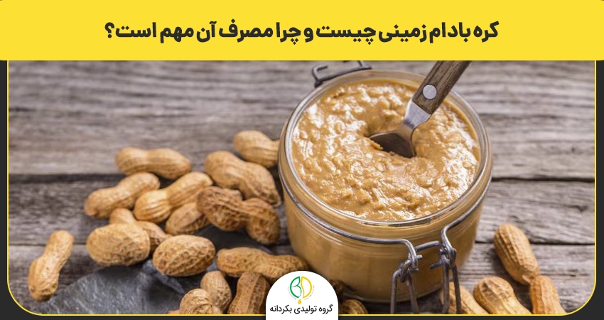 کره بادام زمینی چیست و چرا مصرف آن مهم است؟