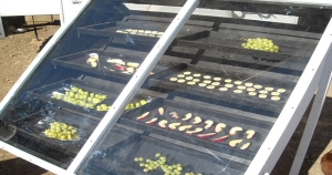 ساخت میوه خشک کن خورشیدی