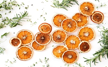 میوه خشک کن گازی بهتره یا برقی