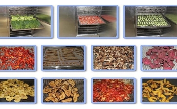 قیمت دستگاه میوه خشک کن 100 کیلویی