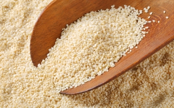 هر یک کیلو کنجد چقدر روغن میدهد؟