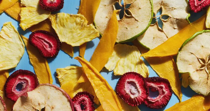 چرا خرید دستگاه میوه خشک کن دست دوم کار درستی نیست؟
