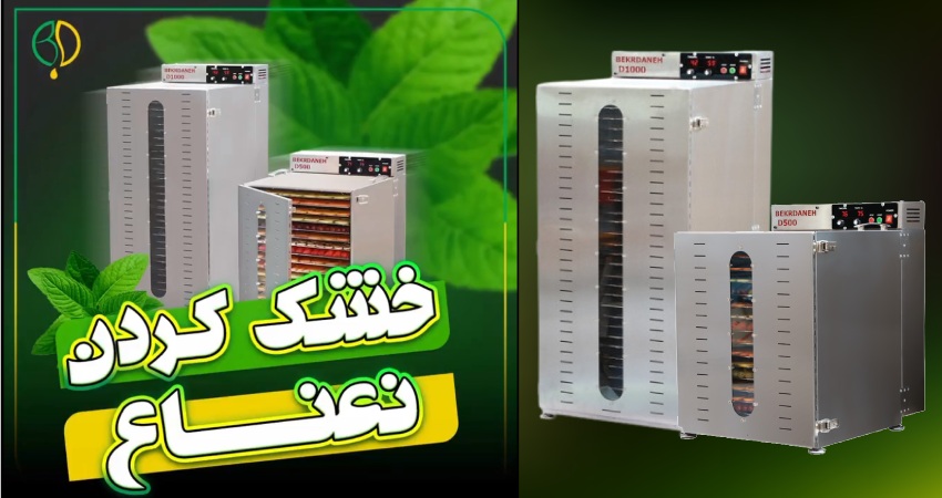 خشک کردن نعناع