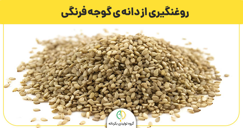  روغنگیری از دانه‌ ی گوجه فرنگی