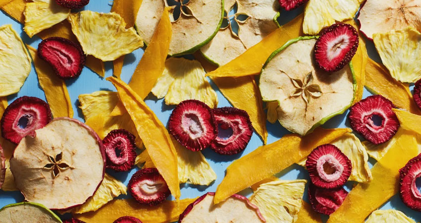 چگونه کار میوه خشک کنی را شروع کنیم؟