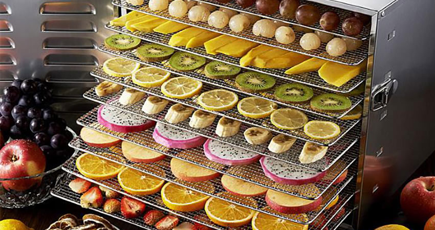 محبوب ترین میوه خشک کن های بازار حدودا چه قیمتی هستند؟