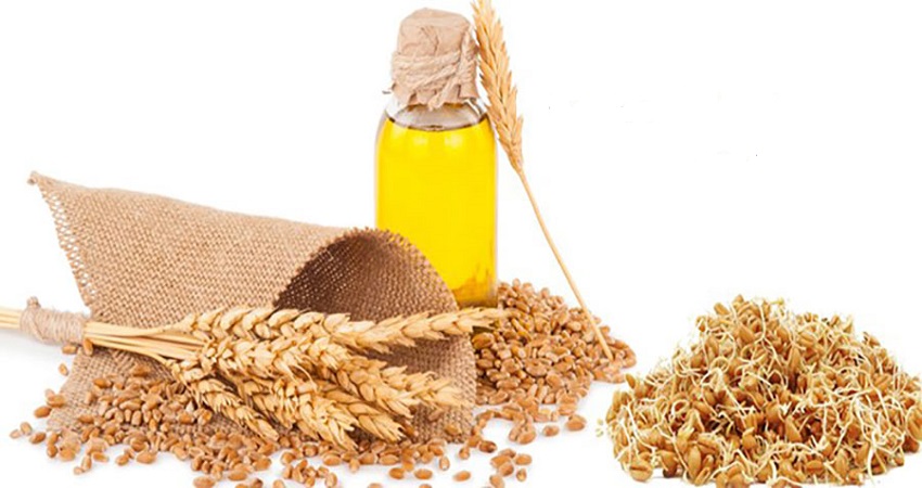 دستگاه روغن گیری جوانه گندم